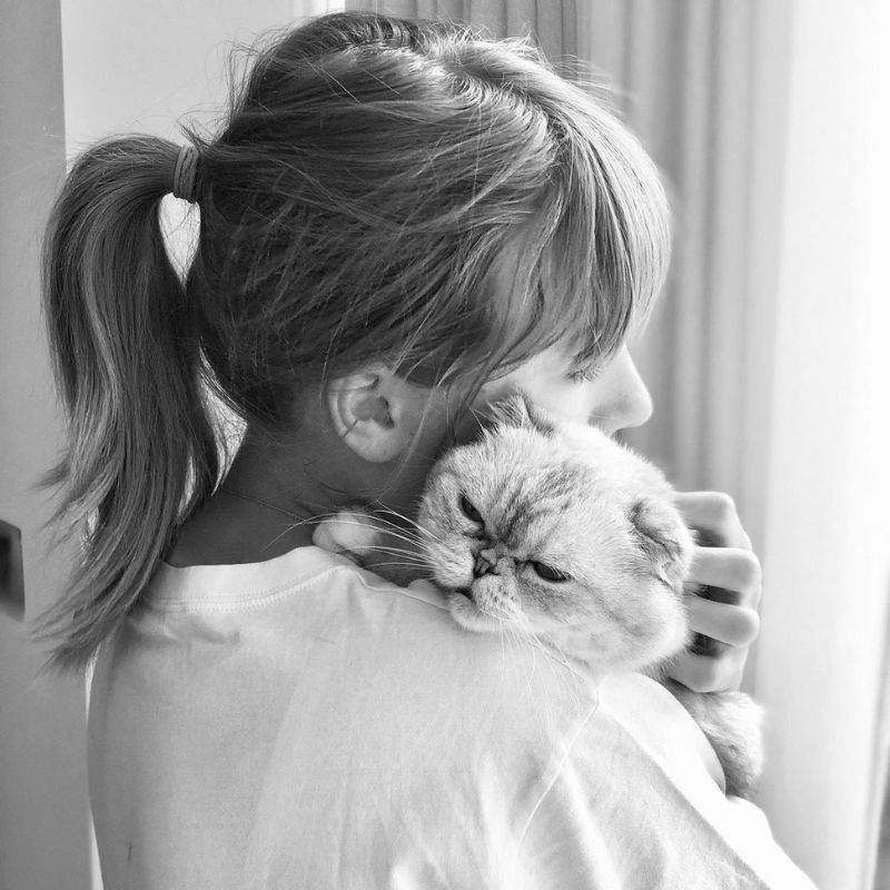 Taylor Swift's feline Olivia Benson and other richest celebrity pets to know about