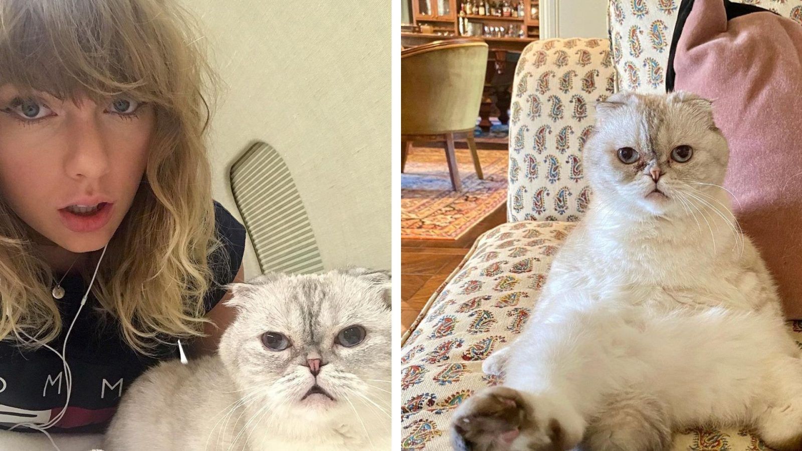 A definitive ranking of all the cats in Cats