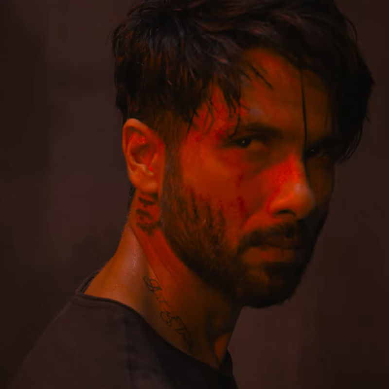 Shahid Kapoor Personal Photos, Shahid Kapoor Instagram Photos and Wallpapers,  Shahid Kapoor Private Pictures