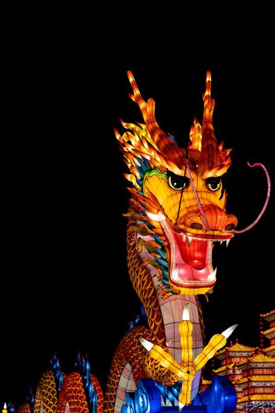 Dragon show