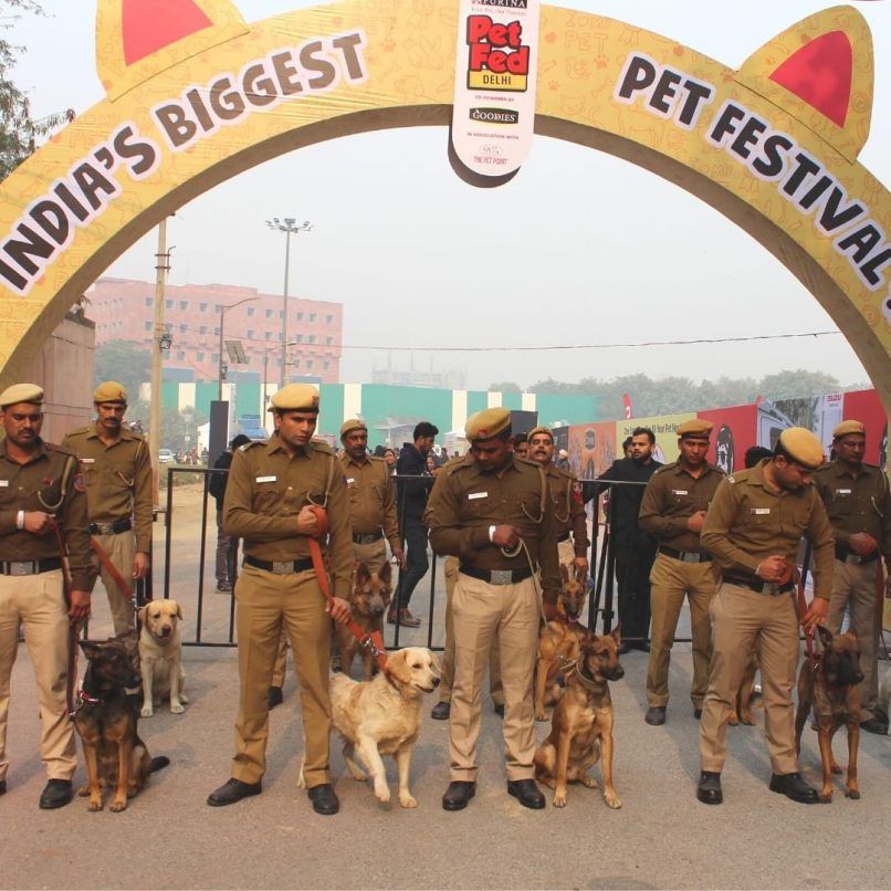 Pet Fed festival 2023 Date, venue, timings, ticket price, and more