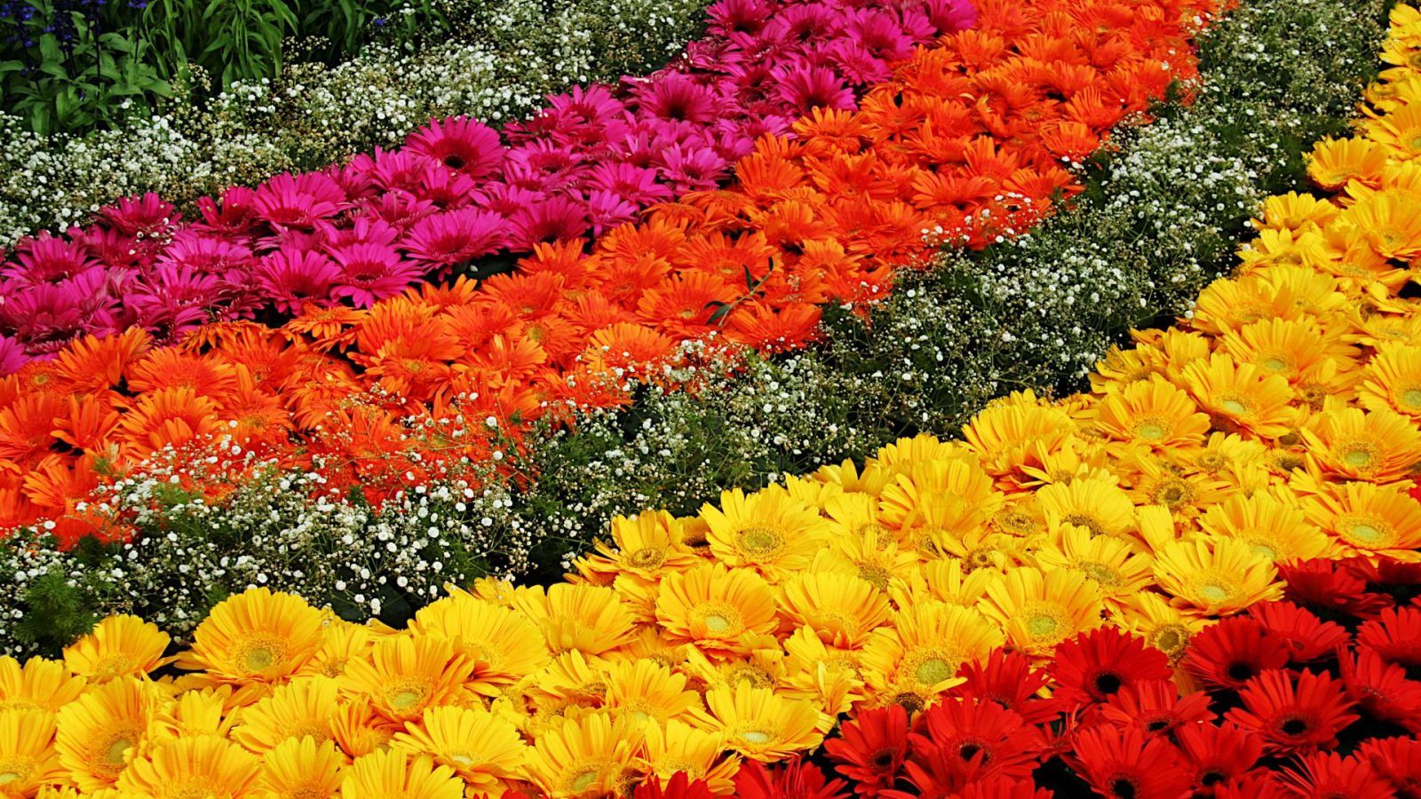 Bengaluru brings back its Lalbagh flower show for Republic Day 2023