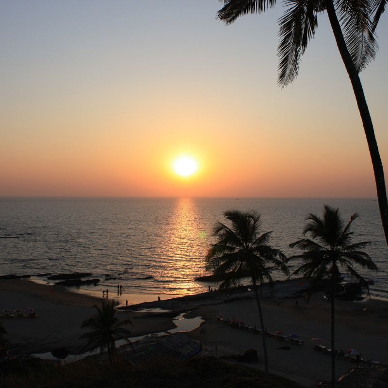 Taste the best cuisine at these newly opened restaurants in Goa