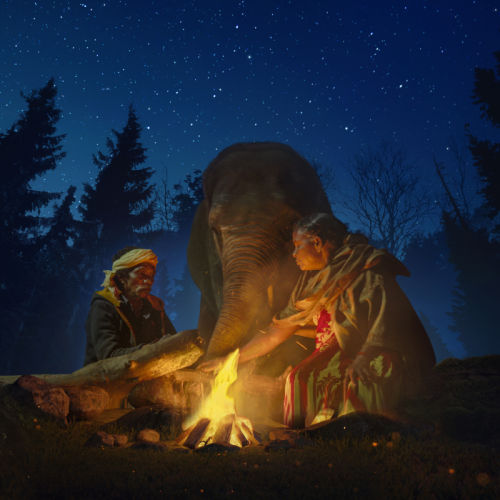 Kartiki Gonsalves All about 'The Elephant Whisperers' director