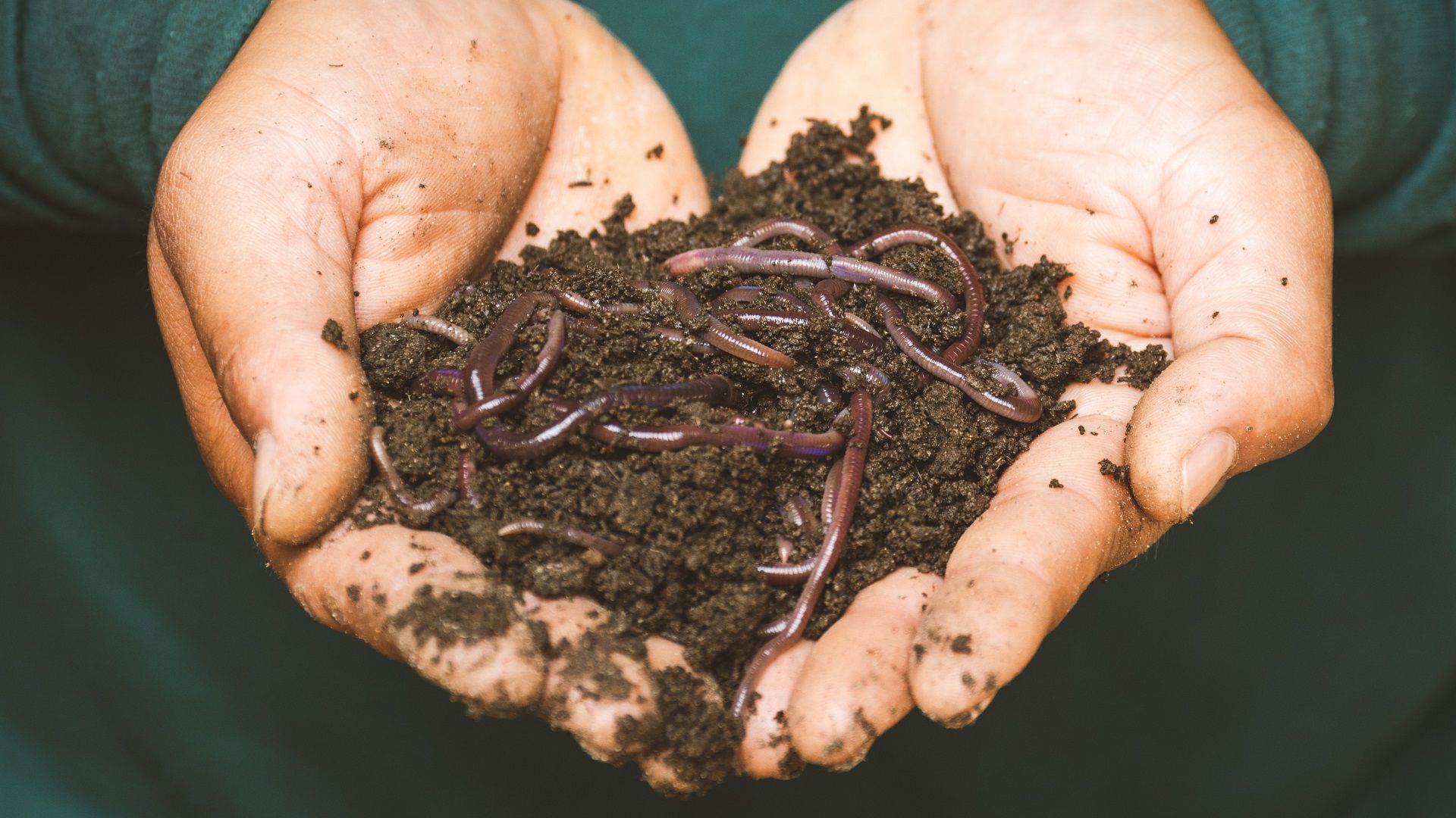 Fertiliser