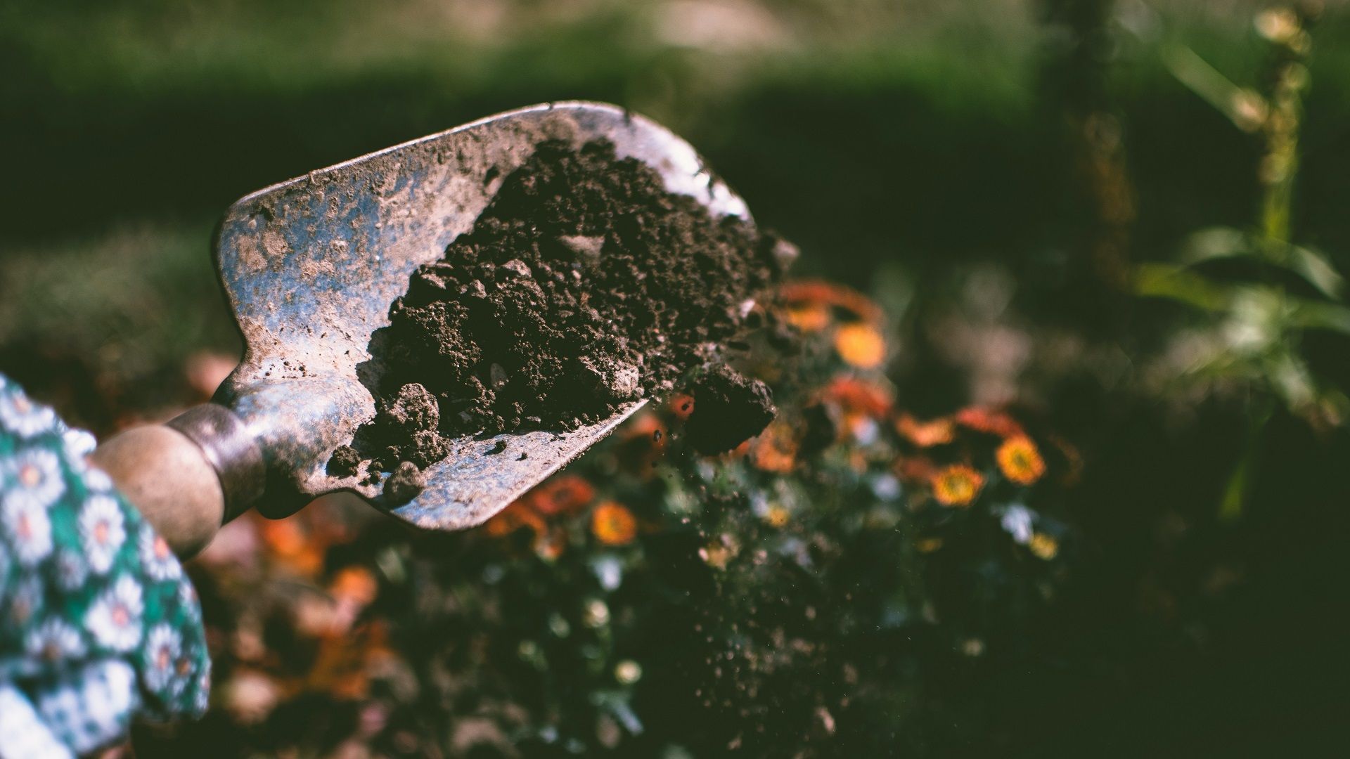 Soil