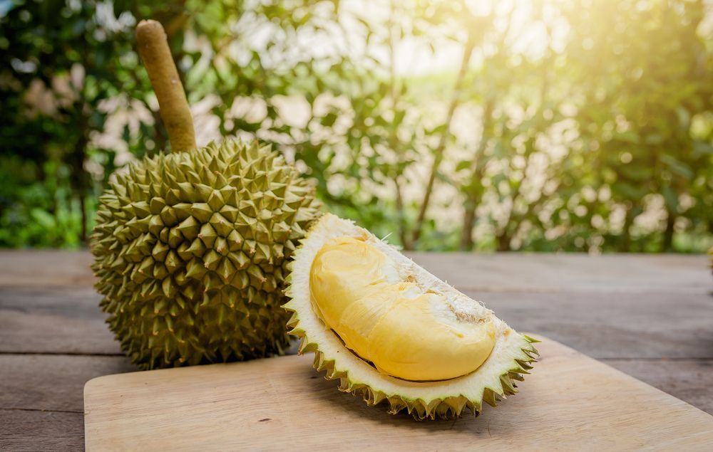 All you need to know about the intensely smelly durian fruit