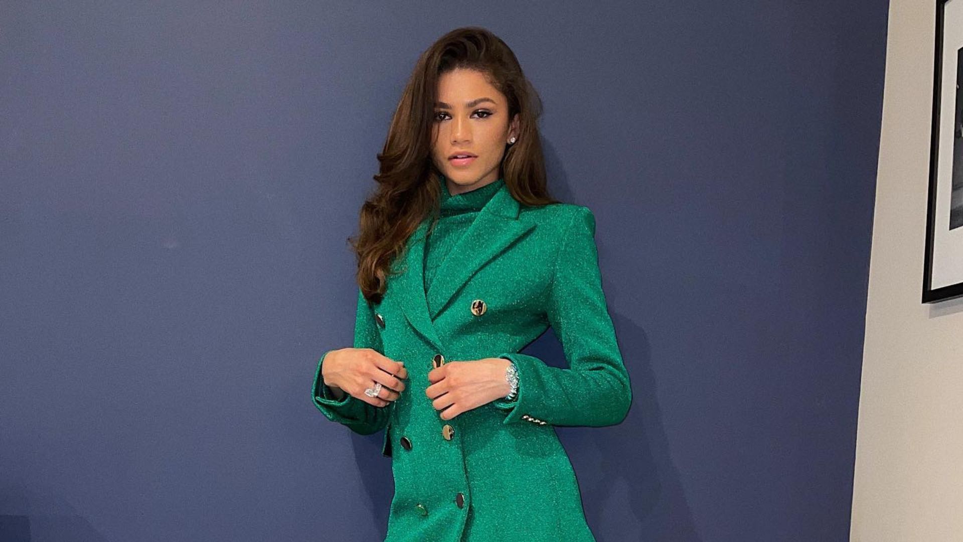Zendaya net worth: How the star makes her millions