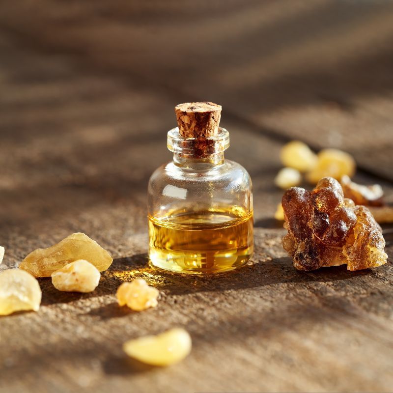 Golden Pine Resin/Incense, Polar Bear Health & Water