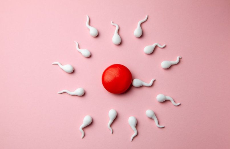 Better sperm count
