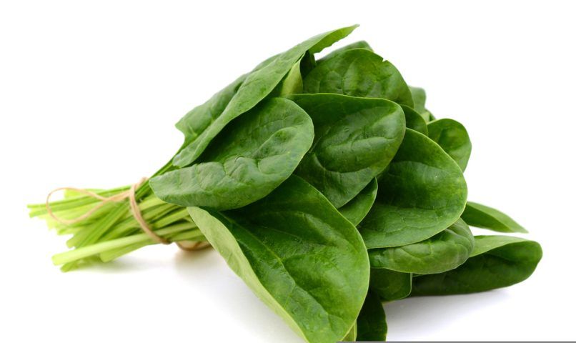 food for thick hair