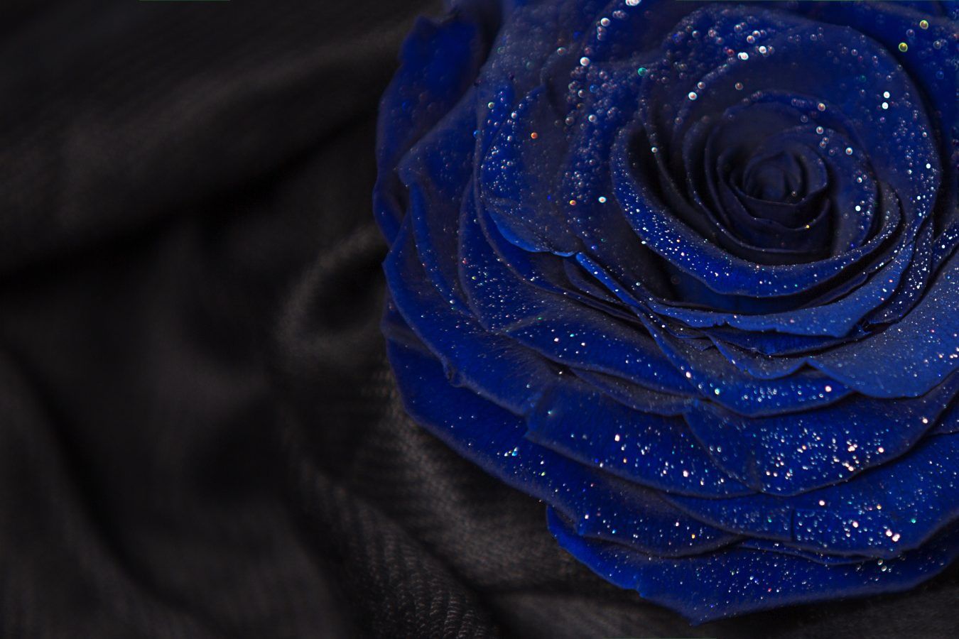 Ecuadorian Forever Roses An everlasting token of appreciation.