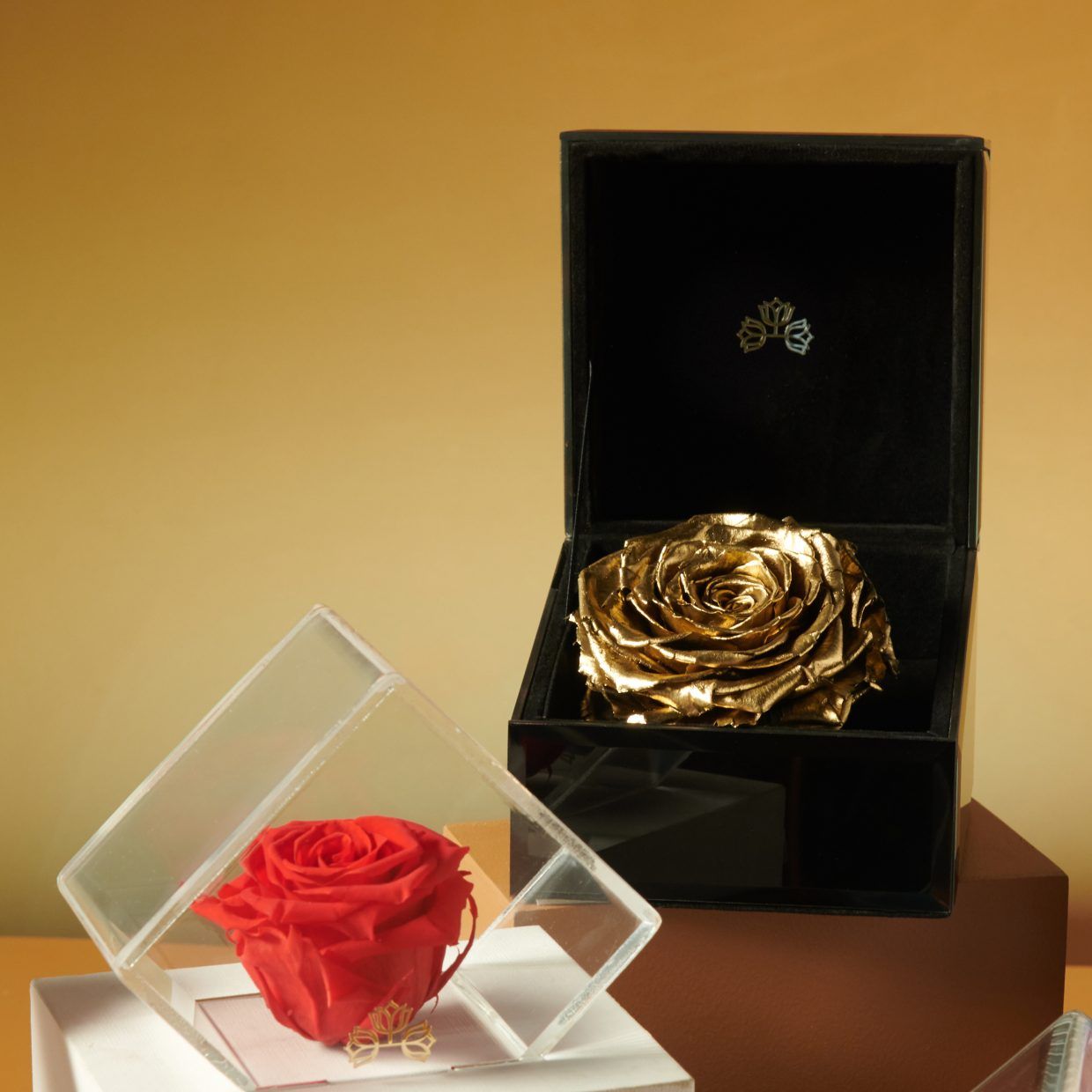 Ecuadorian Forever Roses An everlasting token of appreciation.