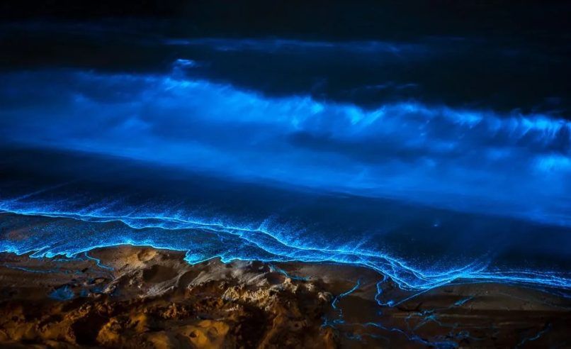 Bioluminescence casting its magic on the bays.