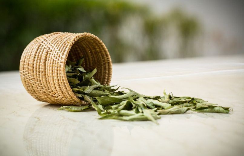 Learn about the many benefits of consuming curry leaves