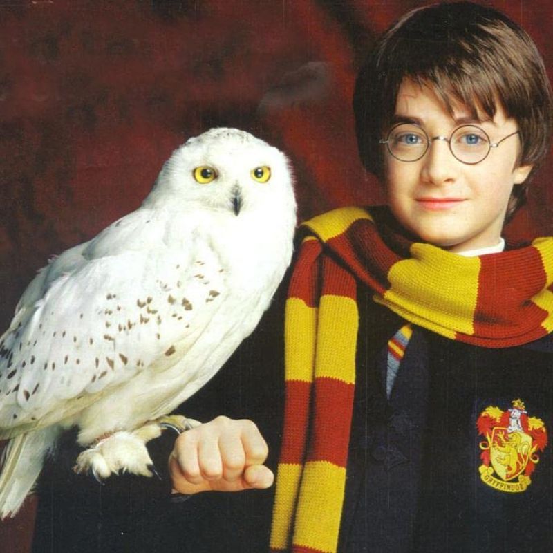 Everything you need to know about ‘Harry Potter’ TV series