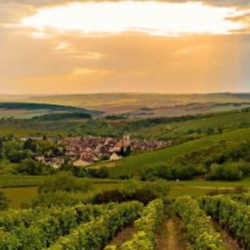 Enjoy a sip at the leading vineyards and wineries in India