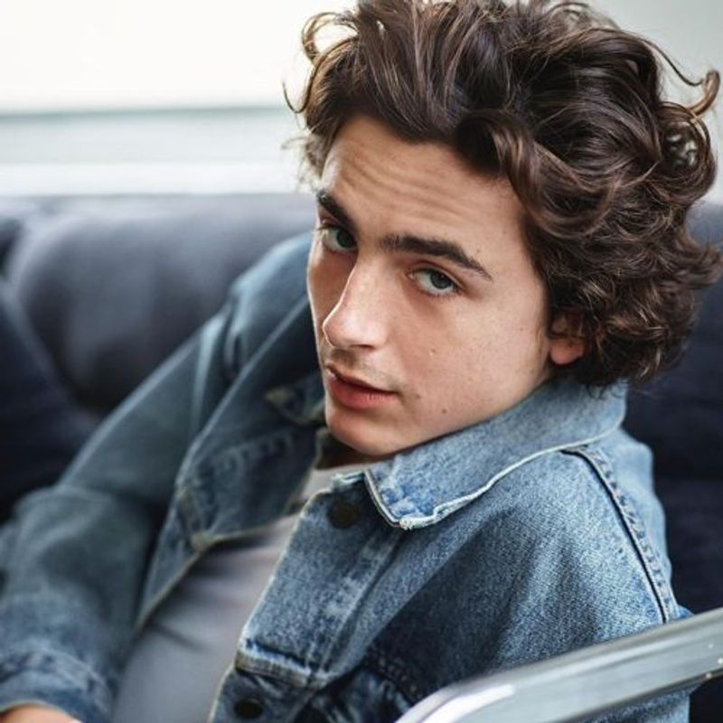 Best Timothée Chalamet movies according to IMDb | Lifestyle Asia India