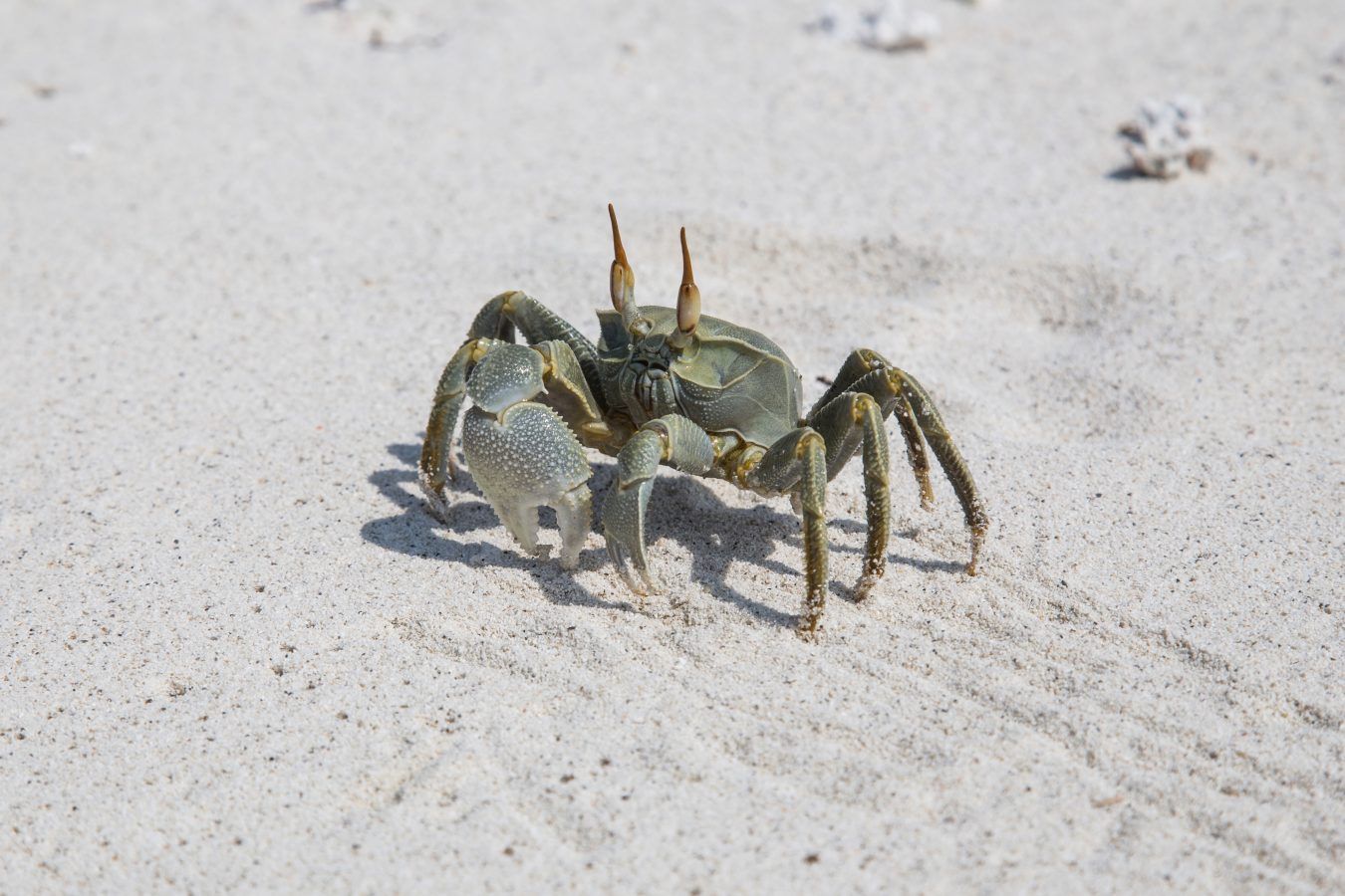 Discover the unlucky and lucky colours for Cancer