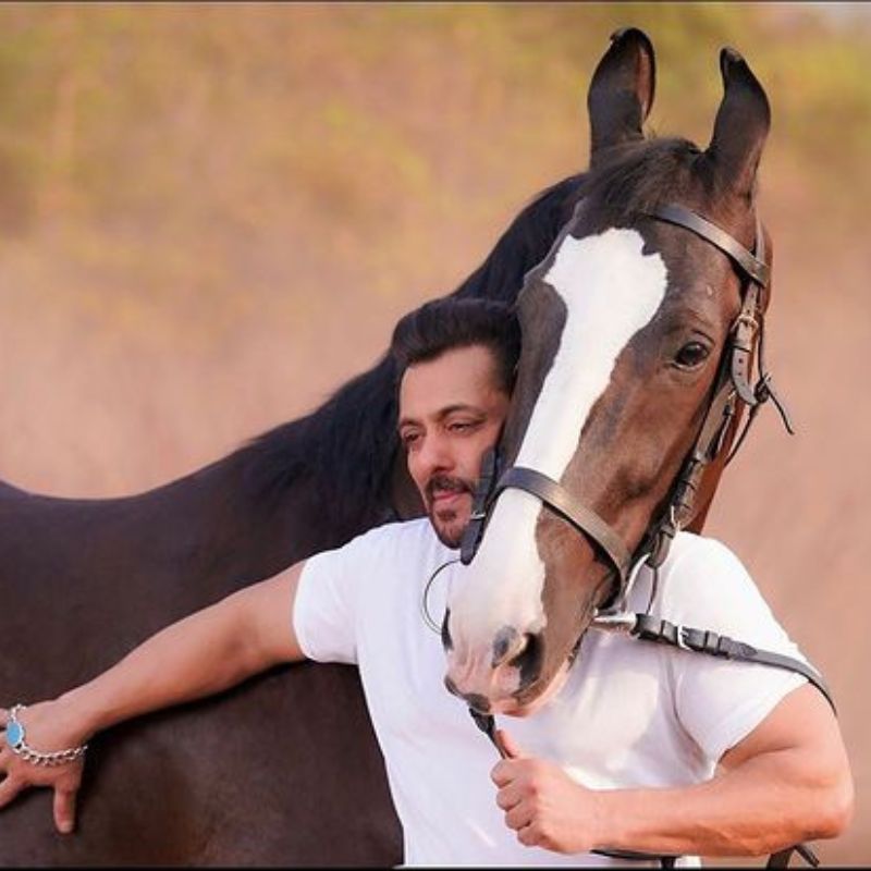 Salman Khan's expensive house in Bandra and other luxurious properties