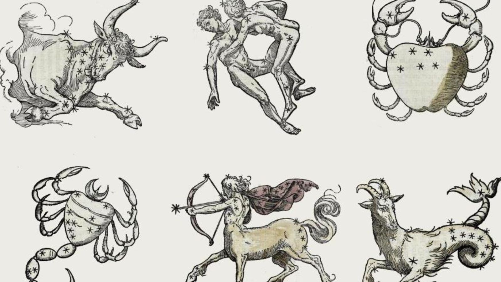 All about zodiac fixed signs: Taurus, Leo, Scorpio and Aquarius