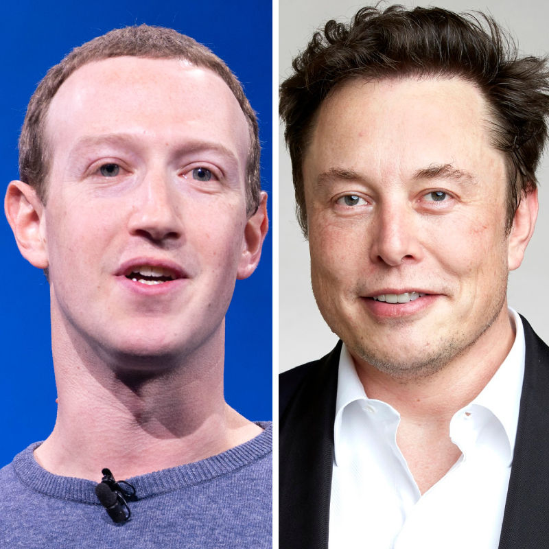 Elon Musk vs Mark Zuckerberg. Who would win?