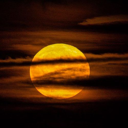 August Sturgeon full moon Effects on your zodiac sign