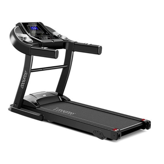 Cockatoo treadmill
