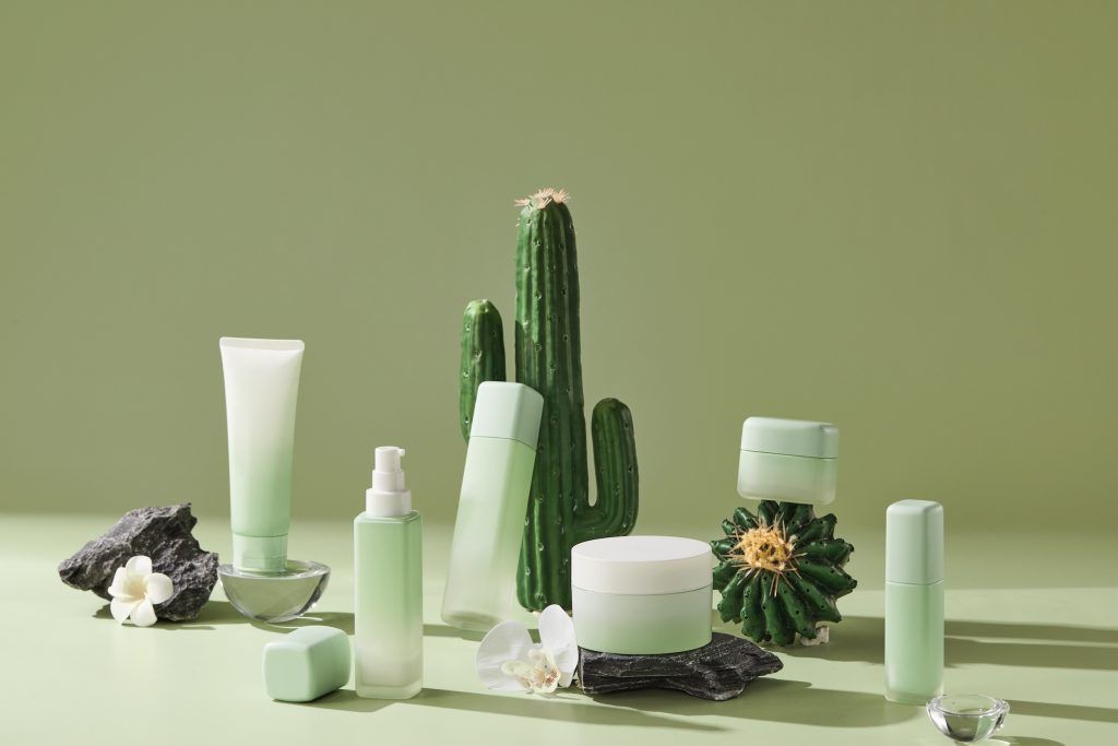 Is cactus more than just a pricky plant? Here’s all you need to know about cactus skincare