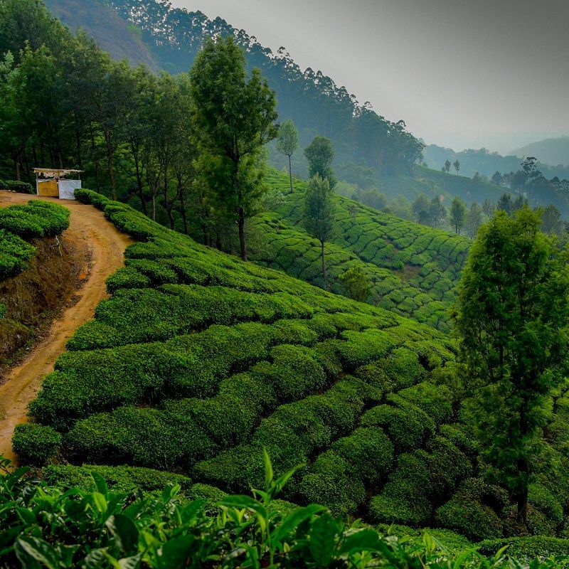 Plan your August long weekends with these best places to visit in India