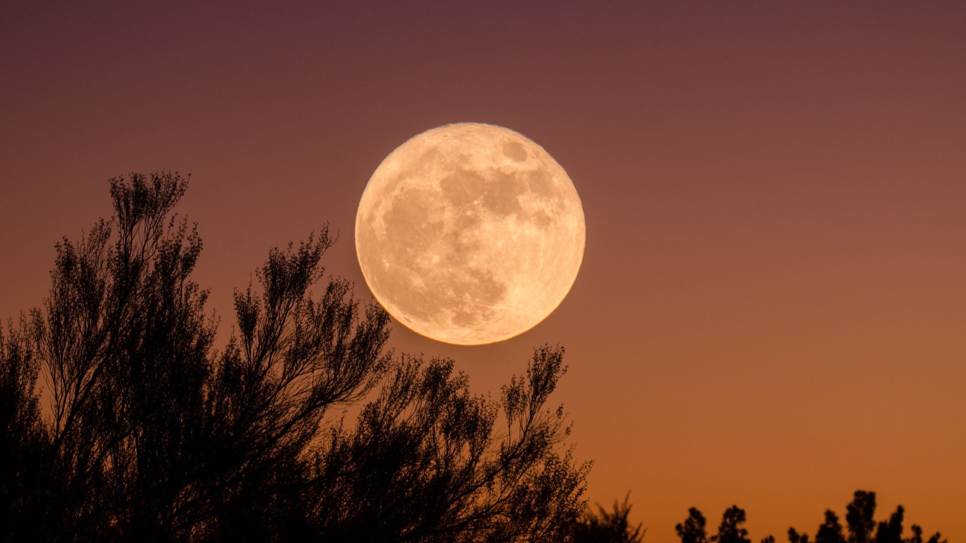 How to watch the two supermoons in August 2023