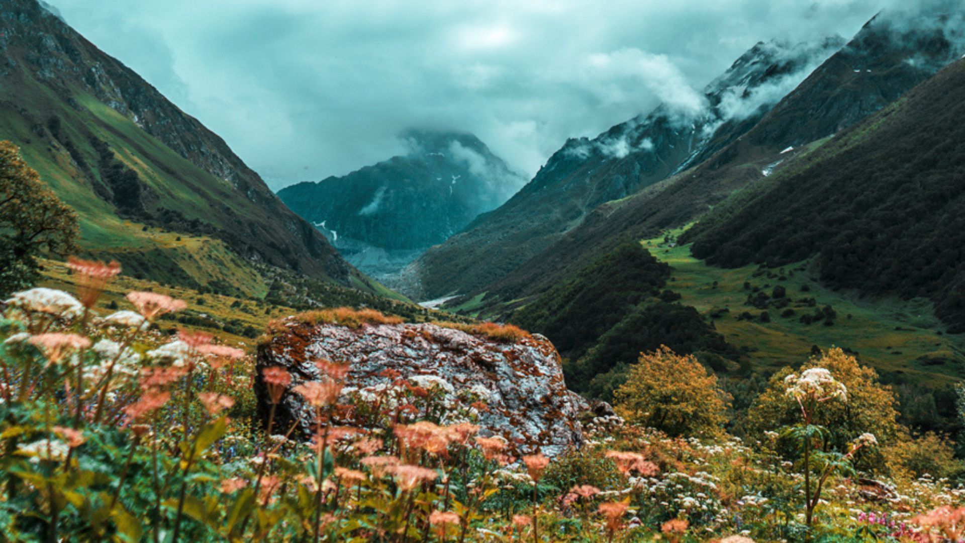 Valley of Flowers trekking guide