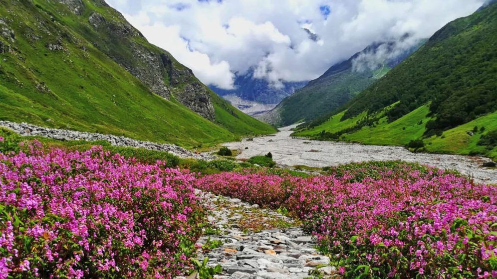 Valley of Flowers trekking guide
