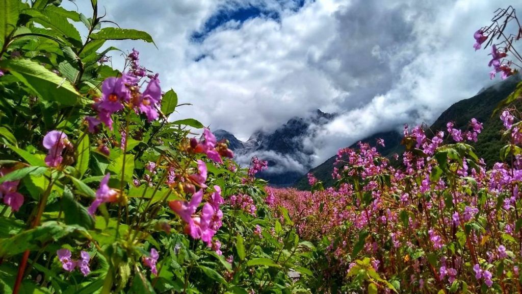Valley of Flowers trekking guide
