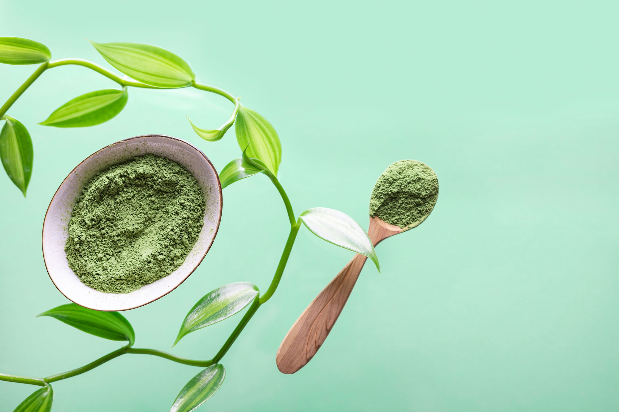 Matcha tea powder and tea accessories on dark background. Stock Photo by  moonlightsv