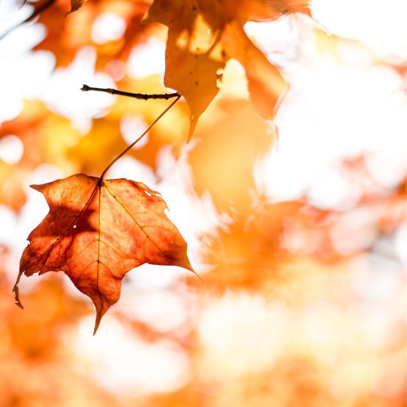 Best places to travel in autumn based on your zodiac sign