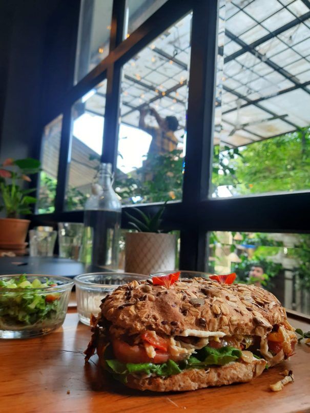 Pulled Chicken Sandwich, True Fit Gourmet