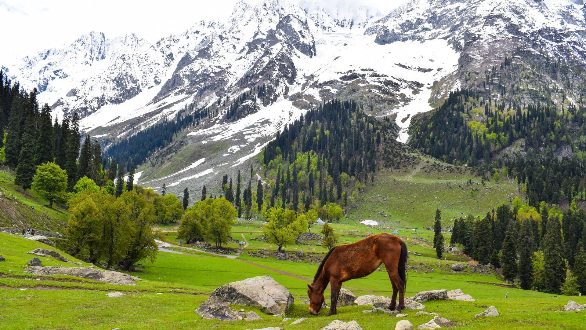 best places to visit in October in India