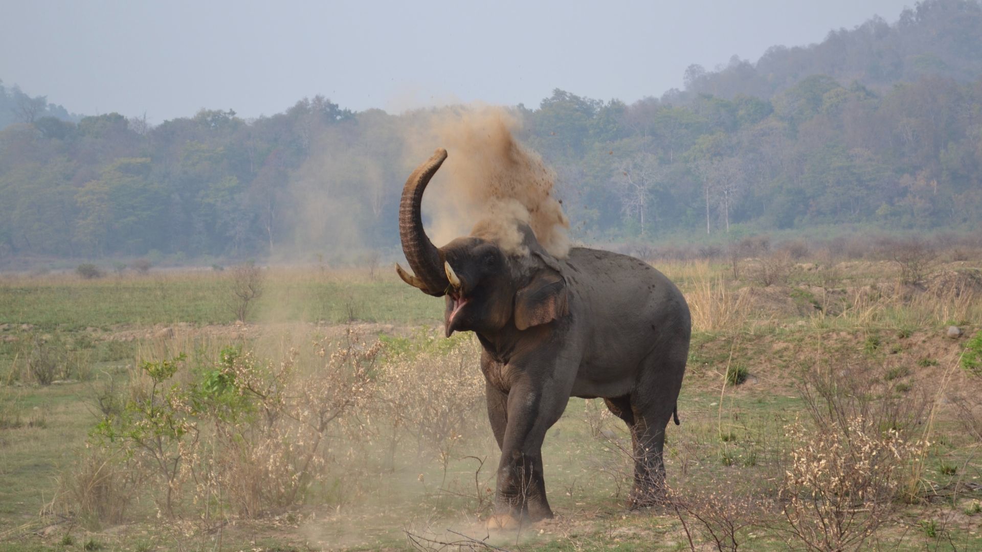 Jim Corbett