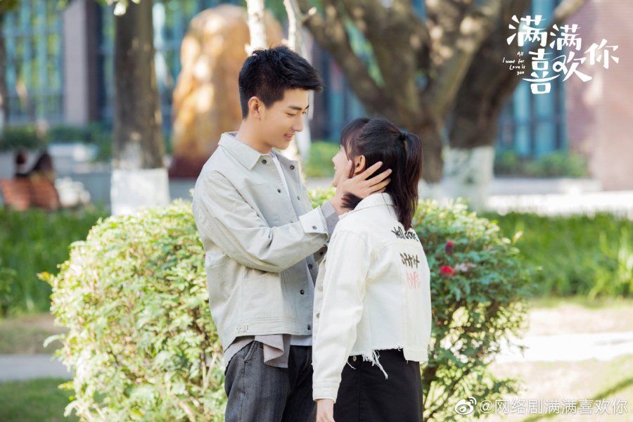 Hindi-Dubbed Chinese Dramas