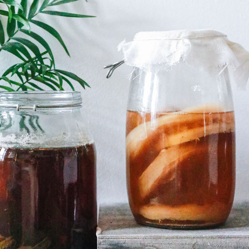 Kombucha Benefits 2024: How To Add It To Your Diet?