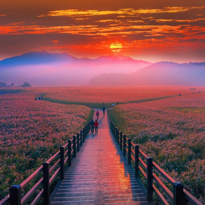 The most beautiful places to visit in South Korea