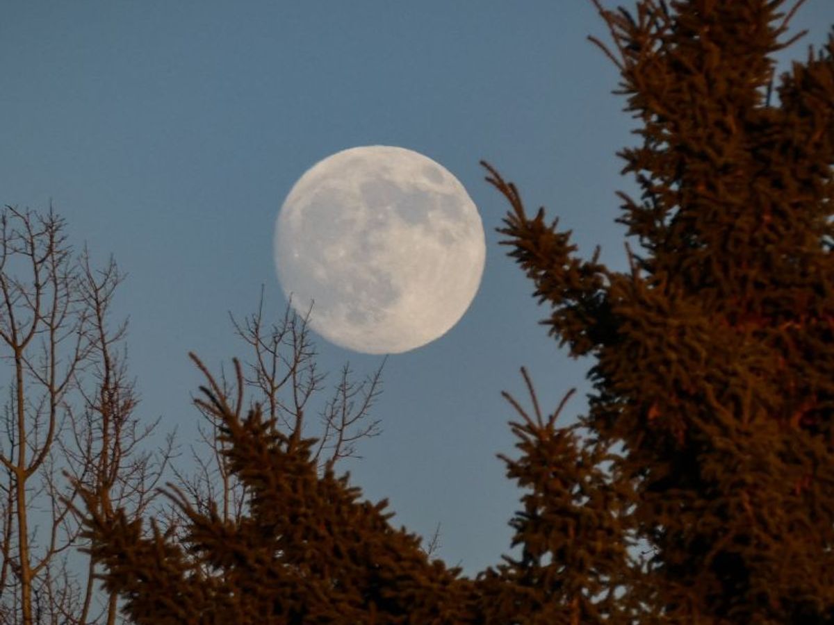 How the Cold Full Moon on December 7 Will Impact You Astrologically