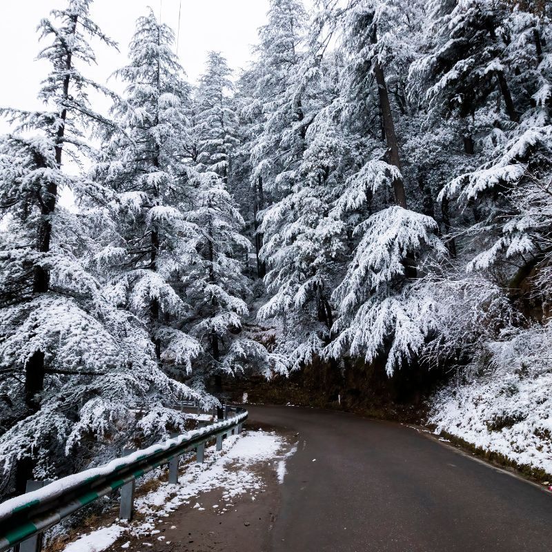 Experience snowfall at these hill stations in India