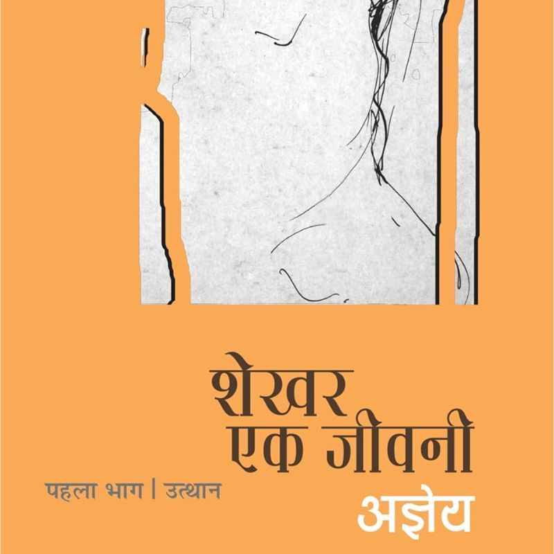 Hindi fiction book