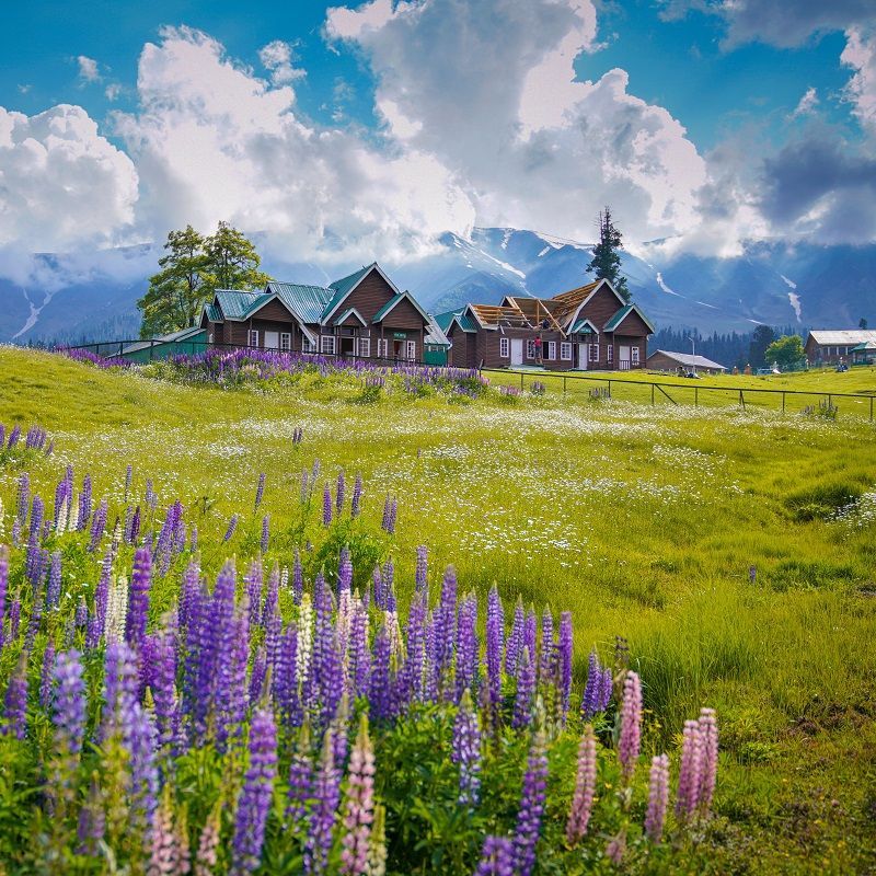 Plan a romantic escapade or a thrilling adventure to experience the magic of Gulmarg