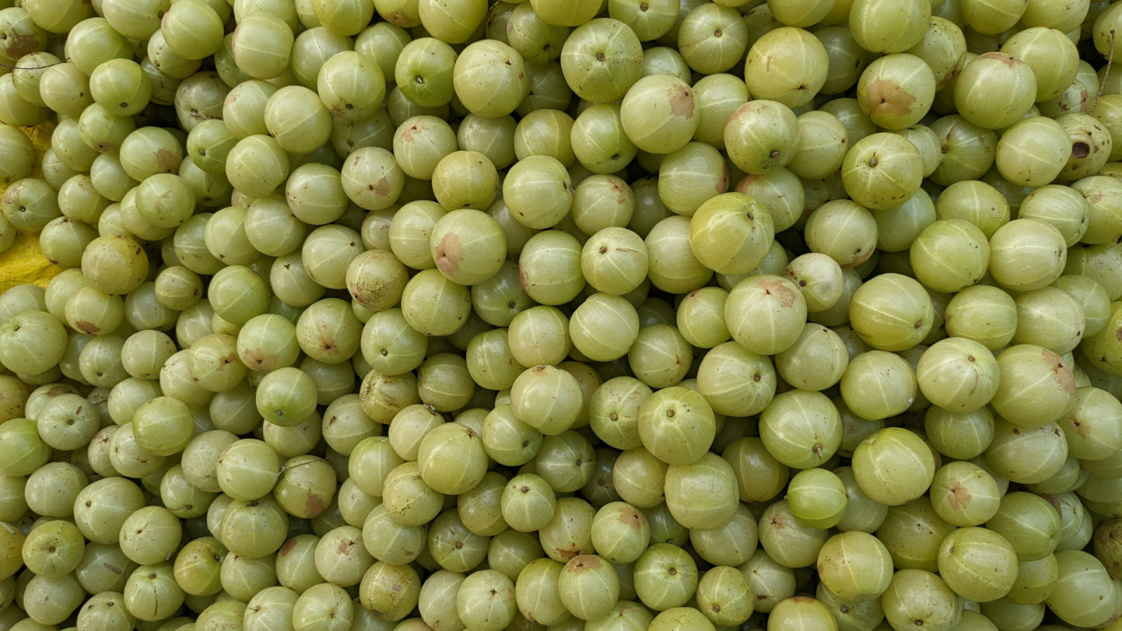 Gooseberry Pickle Stock Photos and Pictures - 1,179 Images | Shutterstock