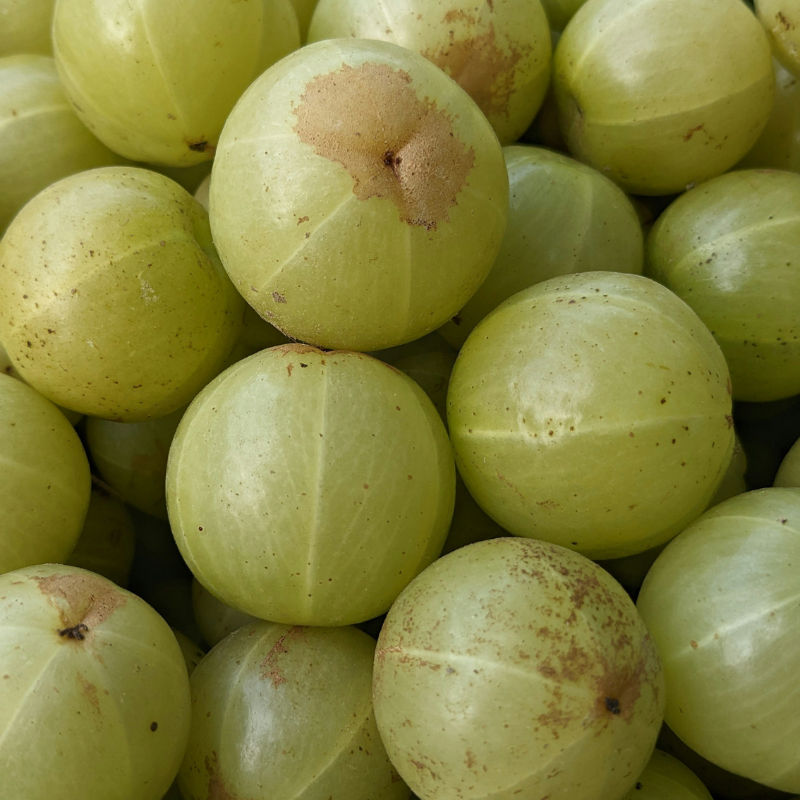 Unlocking the secrets of Amla: Nature’s gift for thicker and stronger hair