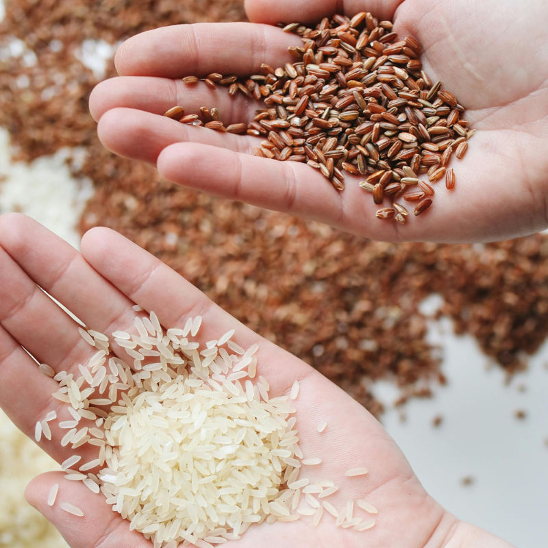 White rice vs brown rice debate Decoding the nutritional contrasts