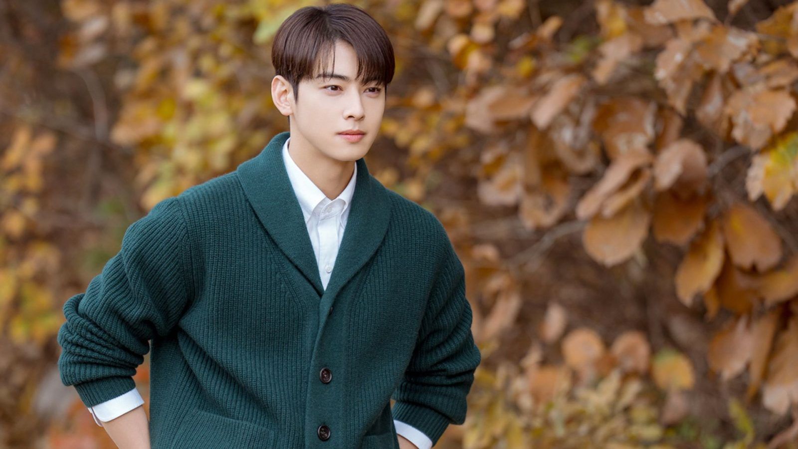 A list of ASTRO star Cha Eun woo s dramas to binge all night